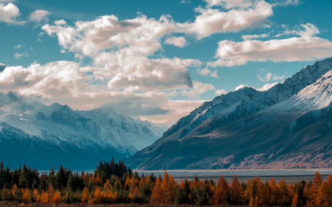 Panorama Nuova Zelanda