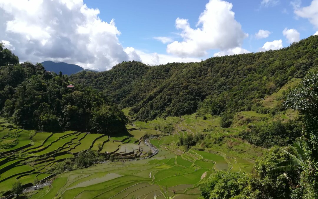 Alla scoperta della Cordillera filippina – Banaue e le sue risaie patrimonio UNESCO