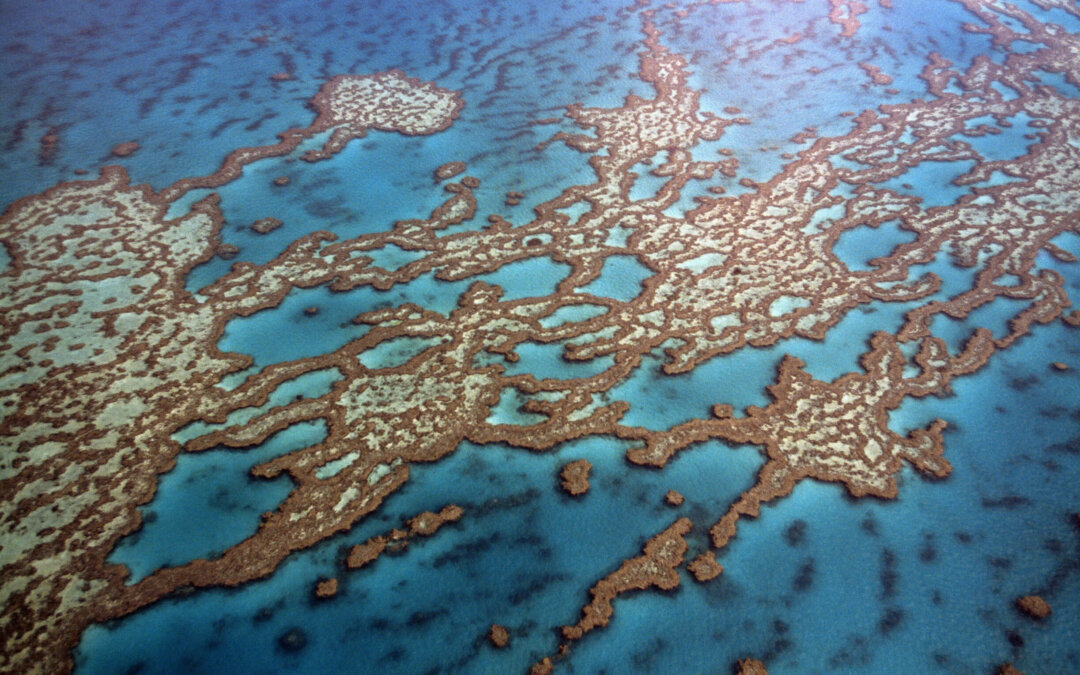 Australia: la Grande Barriera Corallina, consigli per visitarla